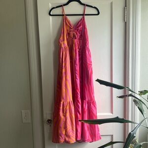 Color block Zebra Dress NWT